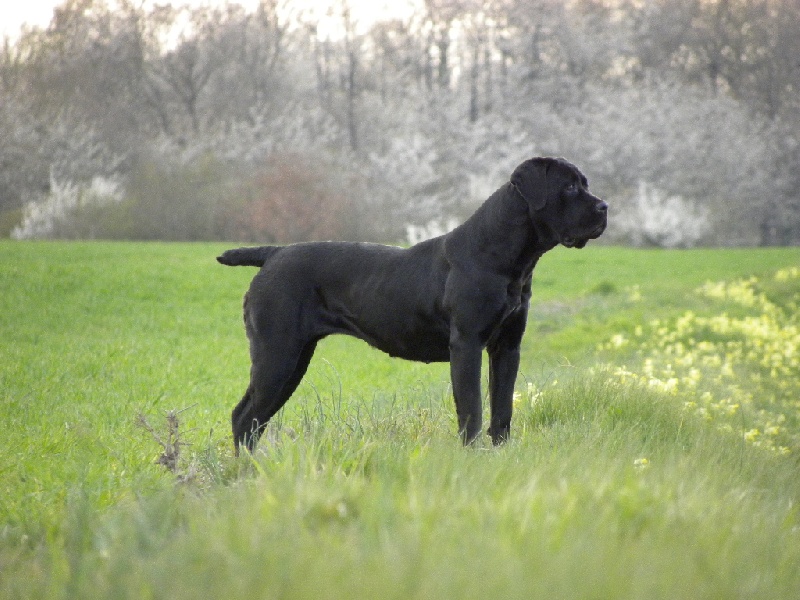 Hidra Du Clos des Trois Rivières